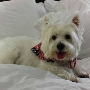 Meet your Posher, Danita